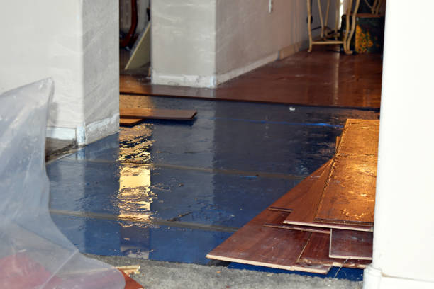 Professional Water Damage Restoration technician working in Minden, WV